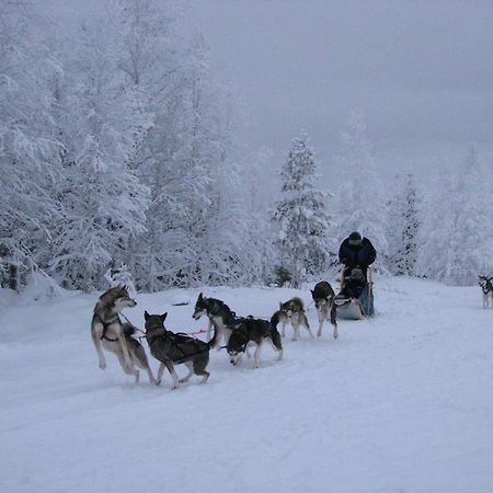 Motel Willis West Ruka Esterno foto