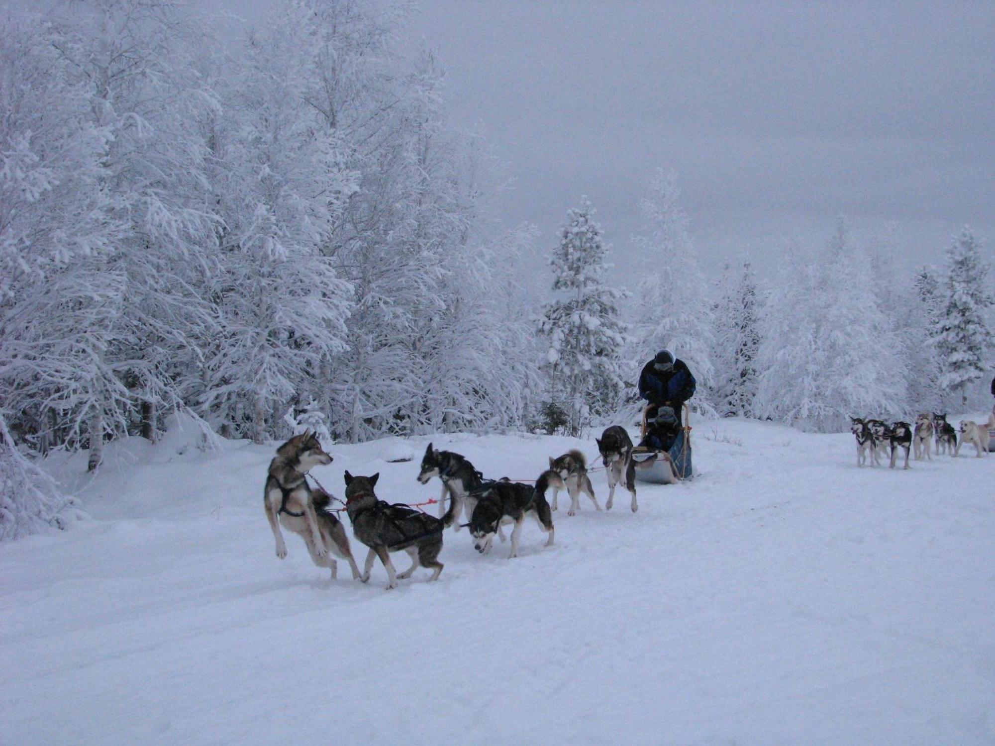 Motel Willis West Ruka Esterno foto